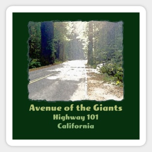 Avenue of the Giants - Highway One - Hwy 1 - Redwood or Sequoia Road, California Sticker